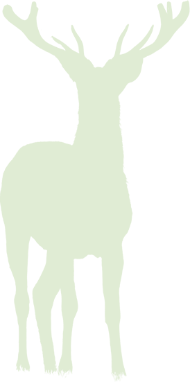 Toronto Zoo Animal Icon